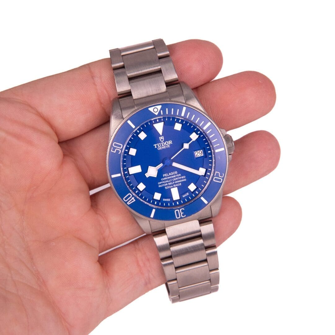 Hand holding a blue-faced Tudor watch.